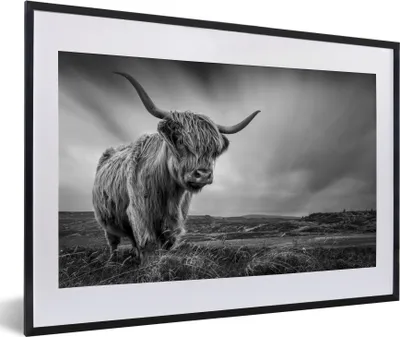 Produktbild von MuchoWow® Gerahmtes Poster Kühe - Schottische Hochlandkühe - Natur - Tiere - Schwarz und weiß 60x40 cm - Poster mit Schwarzem Bilderrahmen Wandposter Rahmen Foto Bilder - Schlafzimmer - Plakat in Rahmen - Drucken
