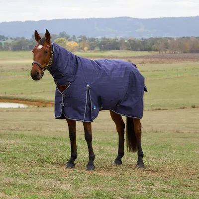 Obrázok produktu pre Weatherbeeta, podbivka na pastvu, veľkosť 140 - Comfitec Prelim Turnout Combo, 220 g - tmavomodrá, vzorovaná