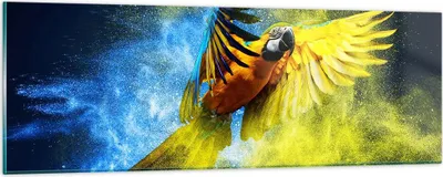 Produktbild von Bilder auf glas - Papagei Vogel Feder - 90x30cm - Glasbilder - Wandbilder - Kunstdruck - zum Aufhängen bereit - Wanddekoration aus Glas - Glas Bilder - Wandbild auf Glas - Einteilig - GAB90x30-3666
