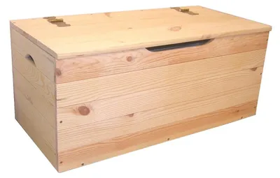 Immagine prodotto di Cassapanca Baule 100x40x50 cm in Legno di Pino Naturale