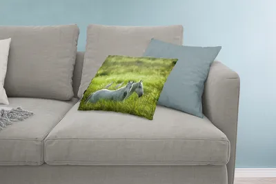 Produktbild von MuchoWow® Zierkissen Sofakissen Wohnzimmer Dekokissen 60x40 cm Pferde - Vogel - Gras - Kopfkissen - Polster mit Foto