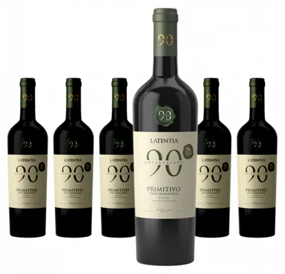 Produktbild von 6 x Novantaceppi Primitivo Vino Biologico