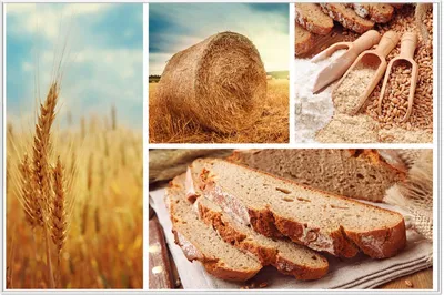 Produktbild von Wallario Wandbild Weizen und Mehl  Vom Korn zum Brot, Größe: 61 x 91,50 cm, Poster mit weißem Aluminiumrahmen