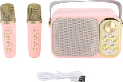 Obrázek produktu pro Karaoke stroj se 2 mikrofony, přenosný Bluetooth pro domácí párty