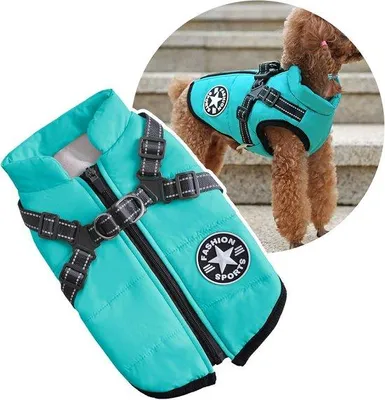 Productafbeelding van Hondenjas met Harnas voor Kleine Honden en Puppy's - Waterdicht & Warm Wintervest