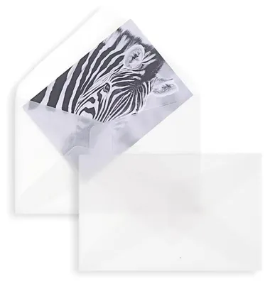 Produktbild von Briefumschläge Transparent - Weiß (Transparent-Weiß)62 x 98 mm | 90 g/qm Offset | Ohne Fenster | Nassklebung | Spitze Klappe | 100 Stück