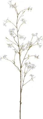 Produktbild von Künstlicher Dekozweig Cornuszweig mit REAL TOUCH Effekt, 111 cm, weiß