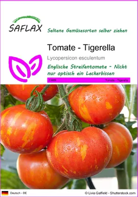 Produktbild von SAFLAX - Tomate - Tigerella - 10 Samen - Lycopersicon esculentum