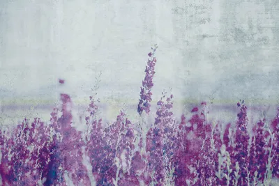 Produktbild von Fototapete - Lavender Abstract 375x250cm - Vliestapete
