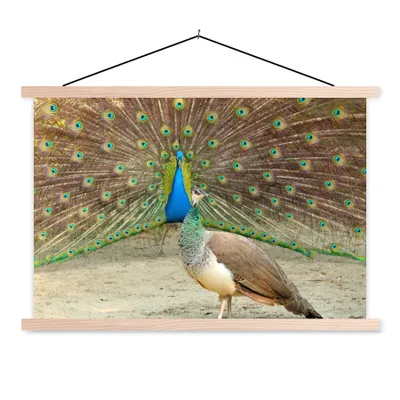 Produktbild von MuchoWow® Textilposter Pfaue - Vögel - Federn 60x40 cm mit holzfarbenen Rahmen - Bilder