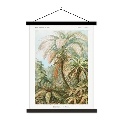 Produktbild von MuchoWow® Textilposter Vintage - Alte Meister - Farne - Pflanzen - Natur 40x53 cm mit schwarzem Rahmen - Abbildung