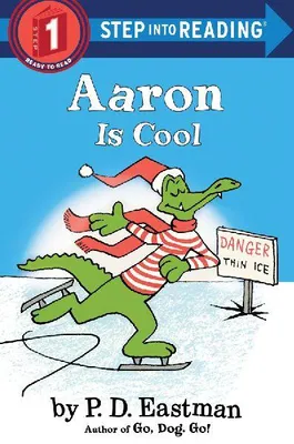Produktbild von Aaron Is Cool