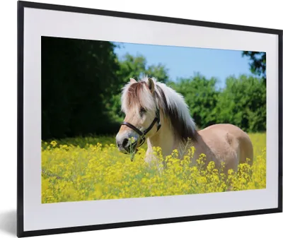 Produktbild von MuchoWow® MuchoWow® Gerahmtes Poster Pferd - Blumen - Gelb 60x40 cm - Poster mit zchwarzem Bilderrahmen - Schlafzimmer - Plakat in Rahmen - Drucken