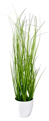 Produktbild von Kunstpflanze Gras, GRASBUSCH im weißen Topf. Ca 40 cm. TOPF WEISS.