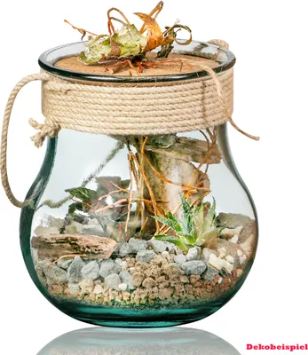 Produktbild von Volcano Flower Gläserner Garten - Höhe 20 cm