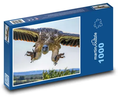 Obrázek produktu pro Puzzle 1000 Sup bělohlavý v letu - martinpuzzle