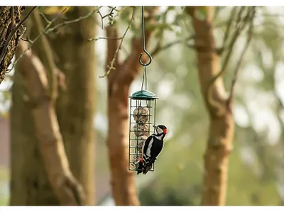 Productafbeelding van Houders voor mezenbolletjes.