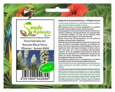 Produktbild von 5x Yucca baccata var. Baccata Blaue Yucca Pflanzen - Samen B494