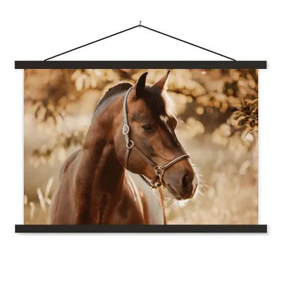 Produktbild von MuchoWow® Textilposter Pferd - Sonne - Porträt - Natur - Braun 90x60 cm mit schwarzem Rahmen - Aufhängungssatz