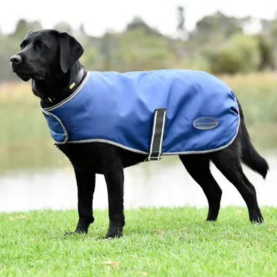 Zdjęcie produktu dla Weatherbeeta Comfitec Windbreaker - kurtka dla psa, rozmiar 25 - koc dla psa