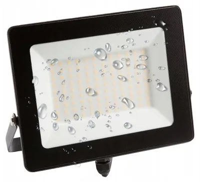 Immagine prodotto di Proiettore LED 100W 6500K 9000lm IP65 Ecolight EC79867