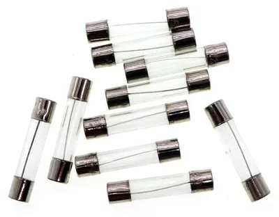 Schnellschmelzsicherungen 6x30 mm 1,6 A 250 V (10 Stück)