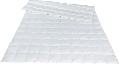 Produktbild von Traumina Novis Daune Einziehdecke WK 1 Größe 200x200 cm