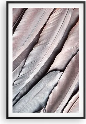 Produktbild von Gerahmtes Poster - Schwarzer Rahmen - Federn Flügel Feder - 61x91,5 cm - Wand Bild - Wanddeko - Wandbilder - Kunstposter - Wandposter - Bilderrahmen - Bilder - Kunstdruck - P2BPA61x91-5114