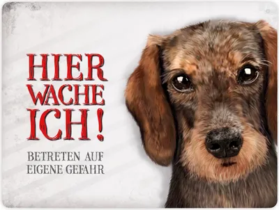 Produktbild von Metallschild XL mit Dackel Motiv und Spruch: Betreten auf eigene Gefahr ...