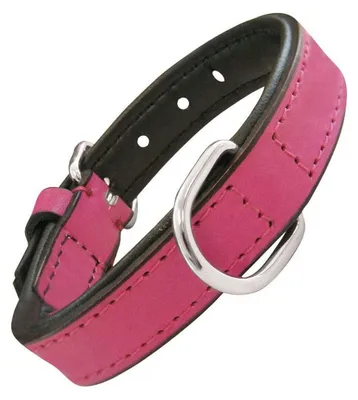Image de Collier de chien Gloria rembourré rose (50 x 2,5 cm)