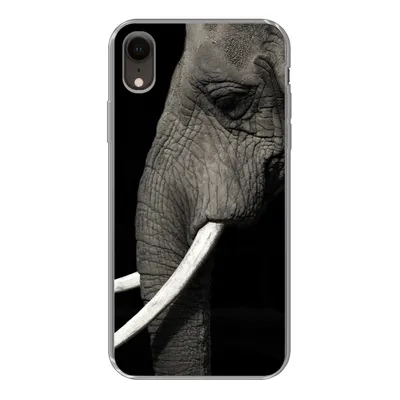 Produktbild von MuchoWow® Handyhülle Schutzhülle Hülle für iPhone XR Elefant - Tier - Stoßzahn Silikon Softcase Handy Hülle - Schutzdeckel