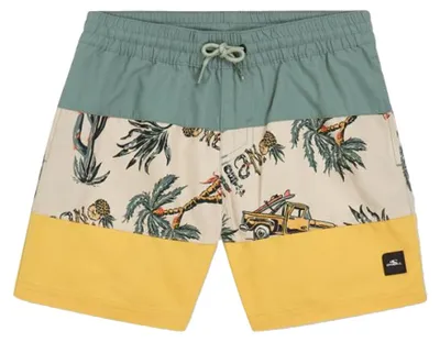 Imagen del producto de O'Neill - Pantalones de baño para niños "Mix & Match Cali Block 13", modelo PP14900 (talla 164), color verde/amarillo