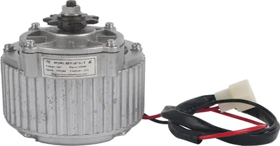 Zdjęcie produktu dla 450 W 24 V metalowa przekładnia elektryczna szczotkowy silnik prądu stałego - akcesoria rowerowe - DIY