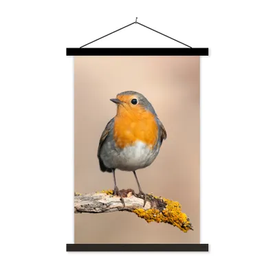 Produktbild von MuchoWow® Textilposter Rotkehlchen - Vogel - Zweig - Tiere 40x60 cm mit schwarzem Rahmen - Wanddekorationen