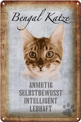 Produktbild von Blechschild Spruch 20x30cm Bengal Katze Schild