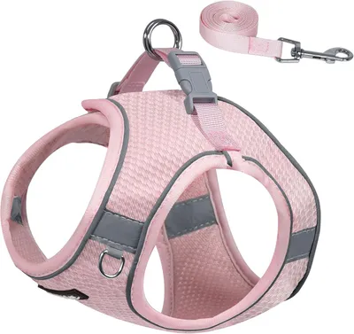 Immagine prodotto di Imbracatura per cani regolabile, realizzata in tessuto a rete traspirante, taglia L, adatta a cani di taglia media, ideale per le passeggiate