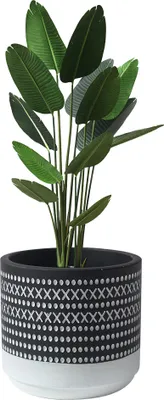 Produktbild von Kleine Boho-Pflanzentöpfe Für Den Innenbereich, Handwerkliche Zementtöpfe Für Zimmerpflanzen, Sukkulententöpfe Mit Drainagelöchern