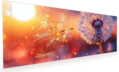 Produktbild von Küchenrückwand Spritzschutz Glas mit Motiv Pusteblume Sonnenuntergang 40 x 40 cm