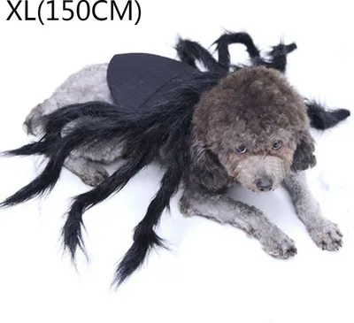 Immagine prodotto di Halloween Pet Dog Cat Spider Clothes Puppy Cosplay Costume per cani gatti Party Cosplay Funny Outfit, XL (150 cm)