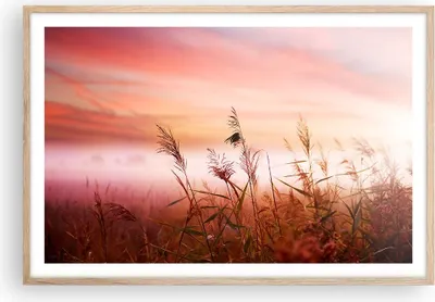 Produktbild von Gerahmtes Poster - Rahmen in heller Eiche - Wiese Getreide Natur - 91,5x61 cm - Wand Bild - Wanddeko - Wandbilder - Wandposter - Bilderrahmen - Bilder - Kunstdruck - Wandbild - P2NAA91x61-3530