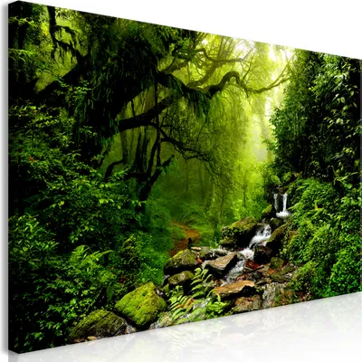 Image de Tableau mural Mega XXXL Forêt 250 x 125 cm Impression artistique au format XXL en une seule partie à monter soi-même Tableaux sur toile Tableaux modernes Décoration murale DIY Décoration d'intérieur Arbre Arbres Nature c-B-0193-ak-h
