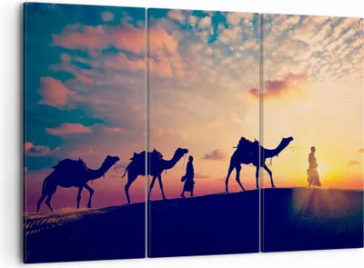 Produktbild von Bild auf Leinwand - Leinwandbild - Kamel Wohnwagen - 105x70cm - Wand Bild - Wanddeko - Wandbilder - Leinwanddruck - Bilder - Kunstdruck - Wanddekoration - Leinwand bilder - Wandkunst - CE105x70-3672