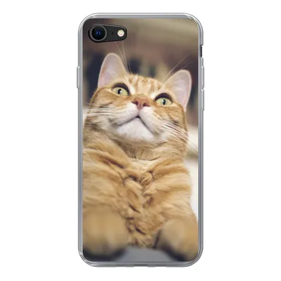 Produktbild von MuchoWow® Handyhülle Schutzhülle Hülle für iPhone 8 Katze - Bank - Orange Silikon Softcase Handy Hülle - Schutzhaube