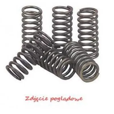 Produktbild von EBC Brakes Kupplungsfedernsatz