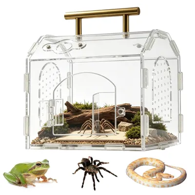 Productafbeelding van 360° Panorama Acryl Terrarium - Voor Slakken en Kleine Reptielen - 15 x 12 x 14 cm