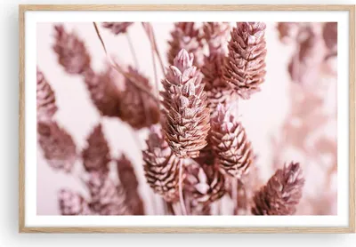 Produktbild von Gerahmtes Poster - Rahmen in heller Eiche - Getrocknet Blume Eco - 91,5x61 cm - Wand Bild - Wanddeko - Wandbilder - Kunstposter - Wandposter - Bilderrahmen - Bilder - Kunstdruck - P2NAA91x61-4912