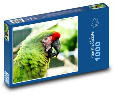 Obrázok produktu pre Puzzle 1000 Farebný papagáj v prírode - martinpuzzle