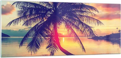 Produktbild von Bilder auf glas - Meer Strand Palme - 100x40cm - Glasbilder - Wandbilder - Kunstdruck - zum Aufhängen bereit - Wanddekoration aus Glas - Glas Bilder - Wandbild auf Glas - Einteilig - GAB100x40-3925