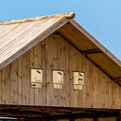 Produktbild von Fledermaushaus 3er-Set, wetterbeständig, Fledermaus-Nisthilfe, Tannenholz Natur | 25 x 6 x 37,5 cm | bis 3 Fledermäuse je Haus | inkl. Aufhängung
