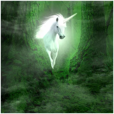 Produktbild von Wallario Memoboard Magnettafel aus Glas, Größe 50 x 50 cm, Motiv Weißes Einhorn im grünen Wald